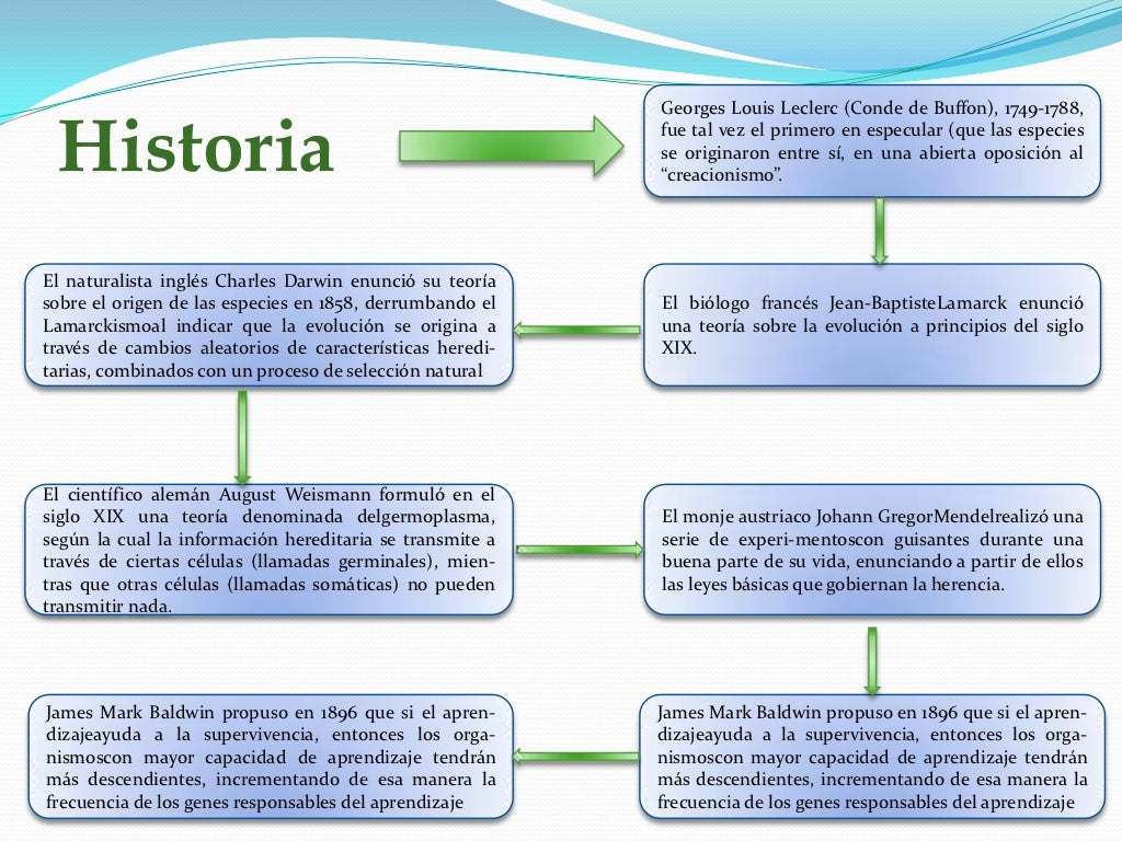 Georges Louis Leclerc (Conde de Buffon), 1749-1788, Historia                                                 fue tal vez e...