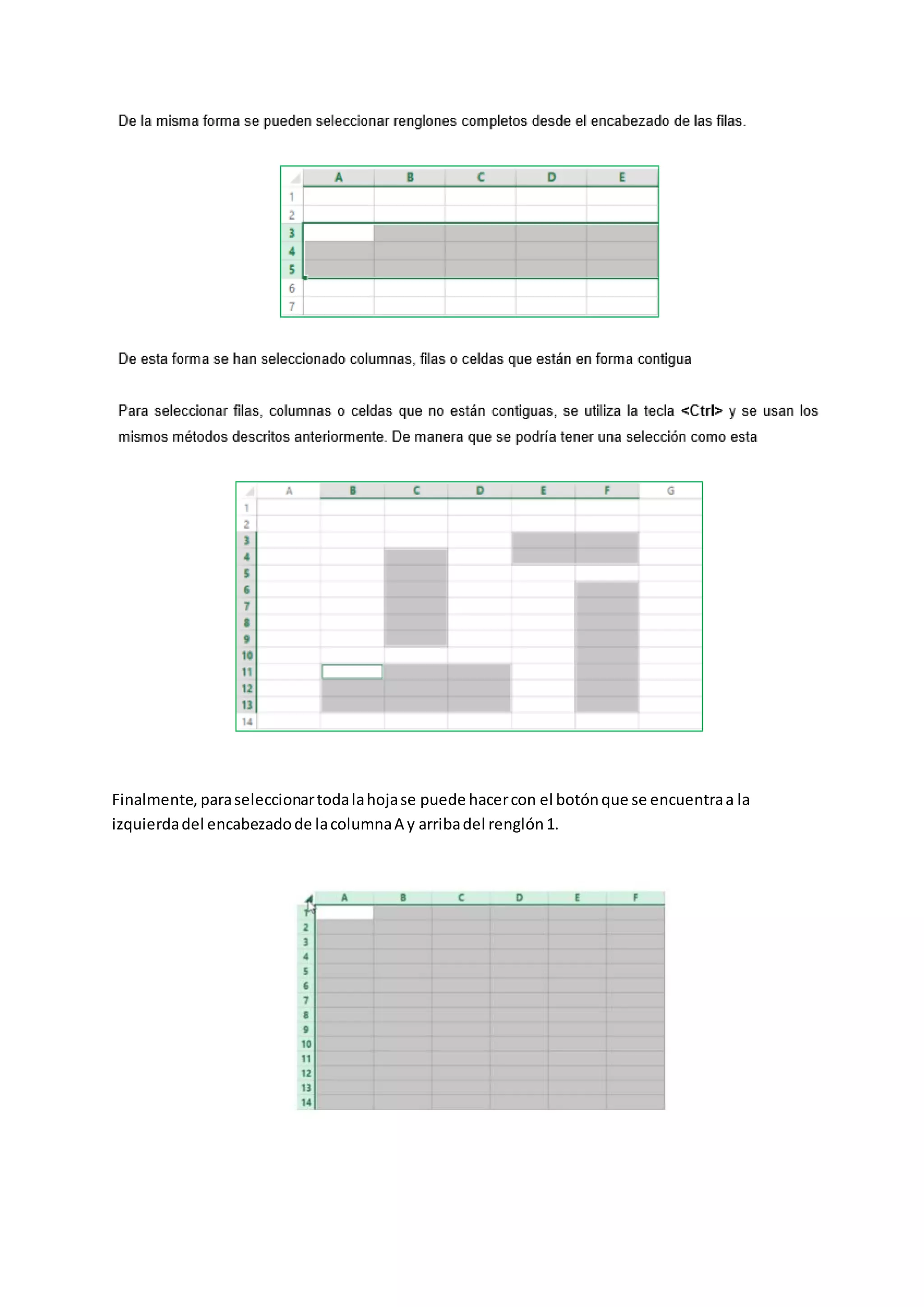 Finalmente, paraseleccionartodalahojase puede hacercon el botónque se encuentraa la
izquierdadel encabezadode lacolumnaA y arribadel renglón1.
 