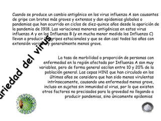 Variedad del virus Cuando se produce un cambio antigénico en los virus influenza A son causantes de gripe con brotes más graves y extensos y dan epidemias globales o pandemias que han ocurrido en ciclos de diez-quince años desde la aparición de la pandemia de 1918. Las variaciones menores antigénicas en estos virus influenza A y en los Influenza B (y en mucha menor medida los Influenza C) llevan a producir las gripes estacionales y que se dan casi todos los años con extensión variable y generalmente menos grave.  La tasa de morbilidad o proporción de personas con enfermedad en la región afectada por Influenza A son muy variables, pero de forma general oscilan entre 10 y 20% de la población general. Las cepas H1N1 que han circulado en los últimos años se considera que han sido menos virulentas intrínsecamente, causando una enfermedad menos grave, incluso en sujetos sin inmunidad al virus, por lo que existen otros factores no precisados para la gravedad no llegando a producir pandemias, sino únicamente epidemias  