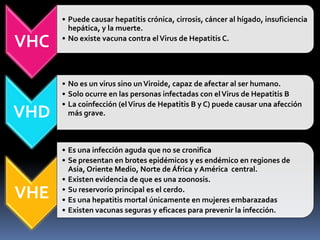 VHC
• Puede causar hepatitis crónica, cirrosis, cáncer al hígado, insuficiencia
hepática, y la muerte.
• No existe vacuna contra elVirus de Hepatitis C.
VHD
• No es un virus sino unViroide, capaz de afectar al ser humano.
• Solo ocurre en las personas infectadas con elVirus de Hepatitis B
• La coinfección (elVirus de Hepatitis B y C) puede causar una afección
más grave.
VHE
• Es una infección aguda que no se cronifica
• Se presentan en brotes epidémicos y es endémico en regiones de
Asia, Oriente Medio, Norte de África y América central.
• Existen evidencia de que es una zoonosis.
• Su reservorio principal es el cerdo.
• Es una hepatitis mortal únicamente en mujeres embarazadas
• Existen vacunas seguras y eficaces para prevenir la infección.
 