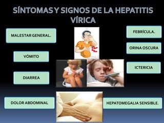 MALESTARGENERAL.
DIARREA
FEBRÍCULA.
VÓMITO
ORINA OSCURA
ICTERICIA
HEPATOMEGALIA SENSIBLE.DOLOR ABDOMINAL
 