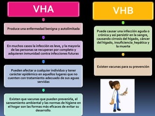VHA
Produce una enfermedad benigna y autolimitada
En muchos casos la infección es leve, y la mayoría
de las personas se recuperan por completo y
adquieren inmunidad contra infecciones futuras
Pueden afectar a cualquier individuo y tener
carácter epidémico en aquellos lugares que no
cuenten con tratamiento adecuado de sus aguas
servidas
Existen que vacunas que pueden prevenirla, el
saneamiento ambiental y las normas de higiene en
el hogar son las formas más eficaces de evitar su
desarrollo.
VHB
Puede causar una infección aguda o
crónica y así persistir en la sangre,
causando cirrosis del hígado, cáncer
del hígado, insuficiencia hepática y
la muerte
Existen vacunas para su prevención
 