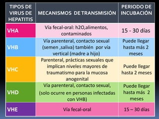 VHA
Vía fecal-oral: h2O,alimentos,
contaminados
15 - 30 días
VHB
Vía parenteral, contacto sexual
(semen ,saliva) también por vía
vertical (madre a hijo)
Puede llegar
hasta más 2
meses
VHC
Parenteral, prácticas sexuales que
implican niveles mayores de
traumatismo para la mucosa
anogenital
Puede llegar
hasta 2 meses
VHD
Vía parenteral, contacto sexual,
(solo ocurre en personas infectadas
con VHB)
Puede llegar
hasta más 2
meses
VHE Vía fecal-oral 15 – 30 días
TIPOS DE
VIRUS DE
HEPATITIS
MECANISMOS DETRANSMISIÓN
PERIODO DE
INCUBACIÓN
 