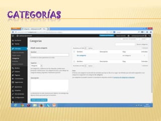 CATEGORÍAS
 