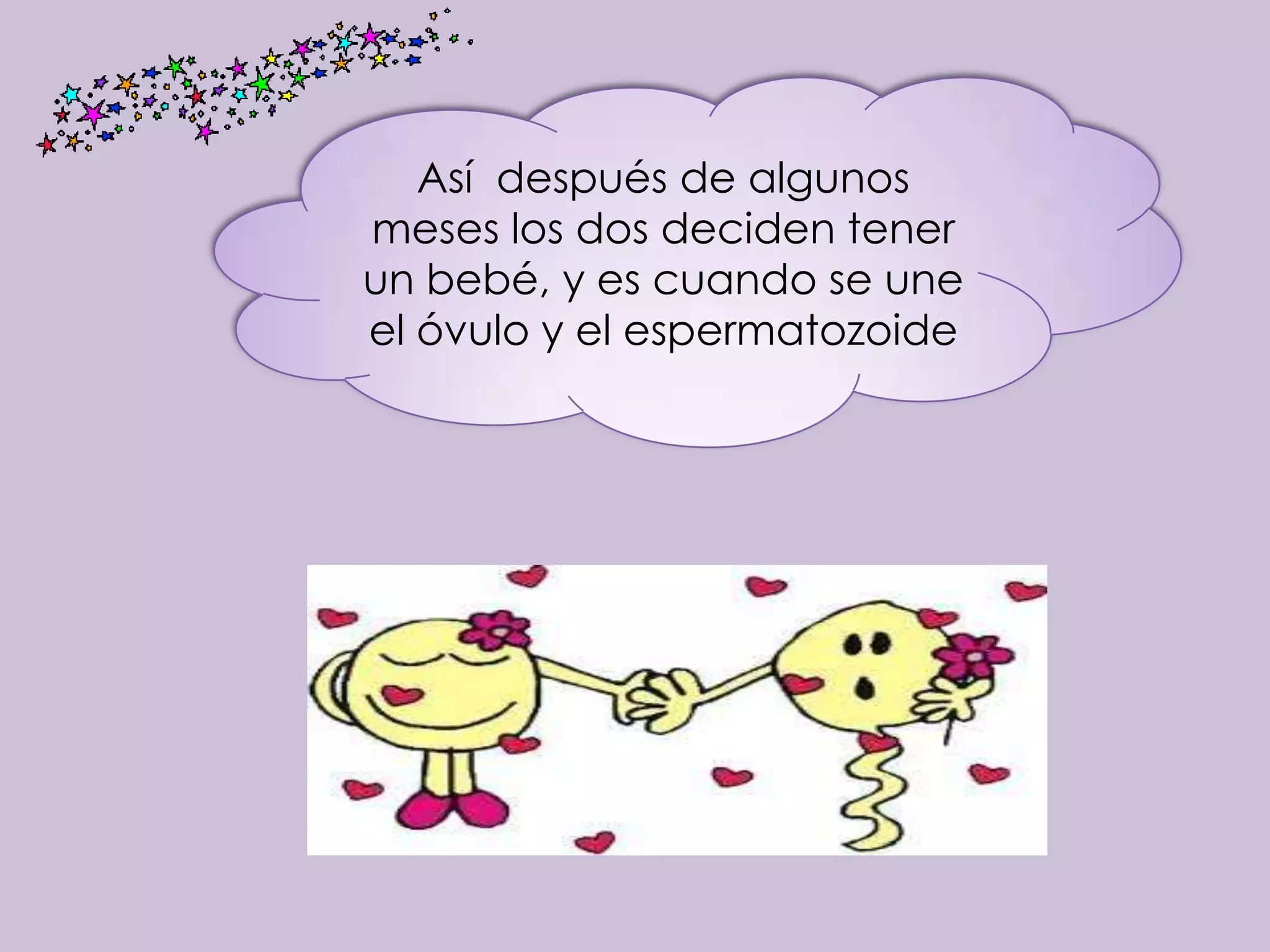 Así después de algunos
meses los dos deciden tener
un bebé, y es cuando se une
el óvulo y el espermatozoide
 