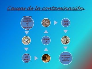 Causas de la contaminación..