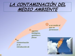 LA CONTAMINACIÒN DEL MEDIO AMBIENTE 