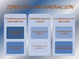 TIPOS DE CONTAMINACIÒN 