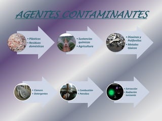 AGENTES CONTAMINANTES 