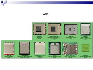 AMD
 