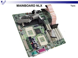 MAINBOARD NLX TiposTipos
 