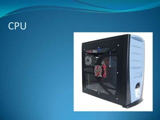 CPU
