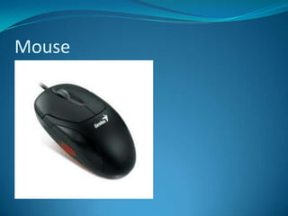 Mouse