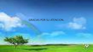 GRACIAS POR SU ATENCION.
 