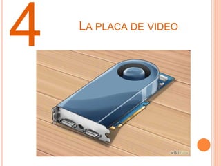 LA PLACA DE VIDEO
4
 