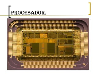 Procesador. 