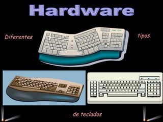 Hardware Diferentes tipos de teclados 