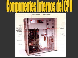 Componentes Internos del CPU 