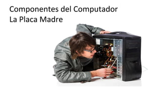 Componentes	
  del	
  Computador	
  	
  
La	
  Placa	
  Madre	
  
 