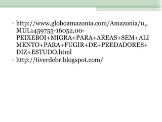 http://www.globoamazonia.com/Amazonia/0,,MUL1459755-16052,00-PEIXEBOI+MIGRA+PARA+AREAS+SEM+ALIMENTO+PARA+FUGIR+DE+PREDADORES+DIZ+ESTUDO.html http://tiverdebr.blogspot.com/ 