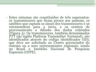 Estes sistemas são constituídos de três segmentos: os transmissores que ficam presos aos animais, os satélites que captam os sinais dos transmissores e os retransmitem para a terra, e os centros de processamento e difusão dos dados coletados (Figura 3). Os transmissores, também denominados PTT (do inglês Platform Transmitter Terminal), são identificados através do código identificador (ID), que deve ser solicitado ao Centro gerenciador do sistema ou a seus representantes regionais, sendo no Brasil o Instituto Nacional de Pesquisas Espaciais (INPE). 