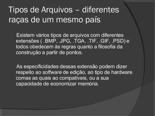 Tipos de Arquivos – diferentes raças de um mesmo país Existem vários tipos de arquivos com diferentes extensões ( .BMP, .JPG, .TGA, .TIF, .GIF, .PSD) e todos obedecem às regras quanto a filosofia da construção a partir de pontos. As especificidades dessas extensão podem dizer respeito ao  software  de edição, ao tipo de hardware comas as quais ao compatíveis, ou a sua capacidade de economizar memória. 