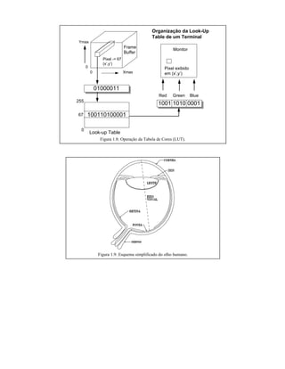 01000011
0 Xmax
0
Ymax
100110100001
0
255
67
Look-up Table
1001 1010 0001
Red Green Blue
Pixel -> 67
(x’,y’)
Frame
Buffer
Monitor
Pixel exibido
em (x’,y’)
Organização da Look-Up
Table de um Terminal
Figura 1.8: Operação da Tabela de Cores (LUT).
Figura 1.9: Esquema simplificado do olho humano.
 