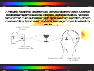 A máquina fotográfica assemelha-se ao nosso aparelho visual. Os olhos recebem a imagem das coisas exteriores em forma invertida, na retina; essa inversão muda automaticamente quando alcança o cérebro, através do nervo óptico, ficando assim endireitada a imagem no centro visual do cérebro. 