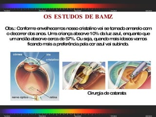 OS ESTUDOS DE BAMZ Obs.: Conforme envelhecemos nosso cristalino vai se tornado amarelo com o decorrer dos anos. Uma criança absorve 10% da luz azul, enquanto que um ancião absorve cerca de 57%. Ou seja, quando mais idosos vamos ficando mais a preferência pela cor azul vai subindo. Cirurgia de catarata                                                                       