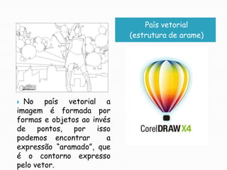 País vetorial(estrutura de arame)No país vetorial a imagem é formada por formas e objetos ao invés de pontos, por isso podemos encontrar  a expressão “aramado”, que é o contorno expresso pelo vetor.