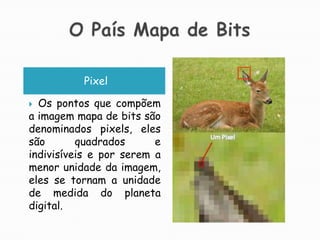O País Mapa de BitsPixelOs pontos que compõem a imagem mapa de bits são denominados pixels, eles são quadrados e indivisíveis e por serem a menor unidade da imagem, eles se tornam a unidade de medida do planeta digital.