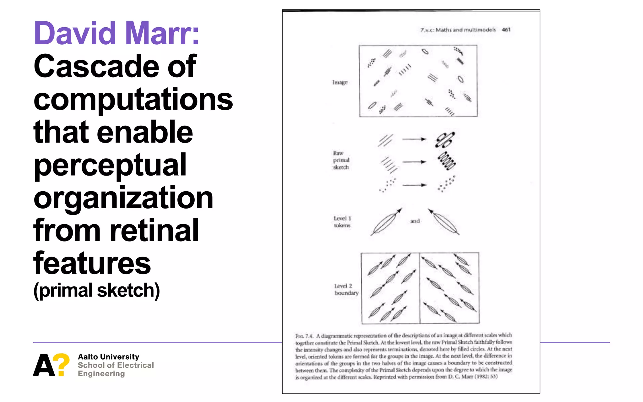 David Marr:
Cascade of
computations
that enable
perceptual
organization
from retinal
features
(primal sketch)
 
