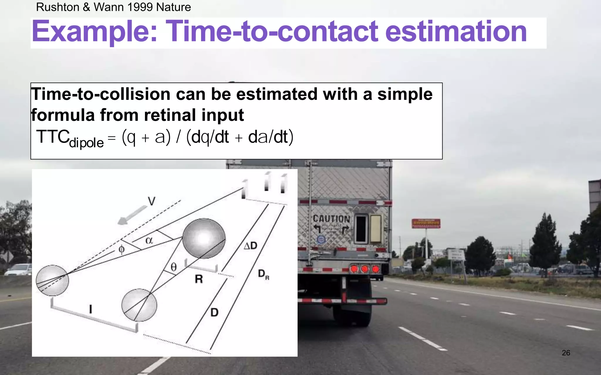 Example: Time-to-contact estimation
Time-to-collision can be estimated with a simple
formula from retinal input
26
Rushton & Wann 1999 Nature
cal evidence2 for theearly combination of sizeand disparity
motion signals(dq/dt + da/dt), and neurophysiological evidence
for thecombination of opticsizeand disparity(q + a) at an early
stageof visual processing15. A TTC estimatecan bebased on a
ratio of thesecombined inputs:
TTCdipole = (q + a) / (dq/dt + da/dt) (4)
Weadopt thelabel ‘dipole’ from theoryon textureperception16 .A
singlepoint viewedbytwoeyesspecifiesabinocular dipole,andtwo
points(such astwooppositeedgesof an object) viewedbyoneeye
specifyamonocular dipole. Our model sumsdipolesand doesnot
distinguish their origin.Analternativemeansof estimatingtheratio
in Equation 4isto takethechangein thesummed dipolelength
withinalogarithmiccoordinatesystem:TTCdipole= d[ln (q + a)]/dt.
Theretinoto
approaches(
theearlier ar
formableobje
tion 4isequi
TTCdipole = (
Hencewhen
distance(I =
weightingof
betoward an
toward TTCd
matereliesu
changeisbe
respon
thresho
biasesTemporal error with looming TTC plateau is 750 ms
 
