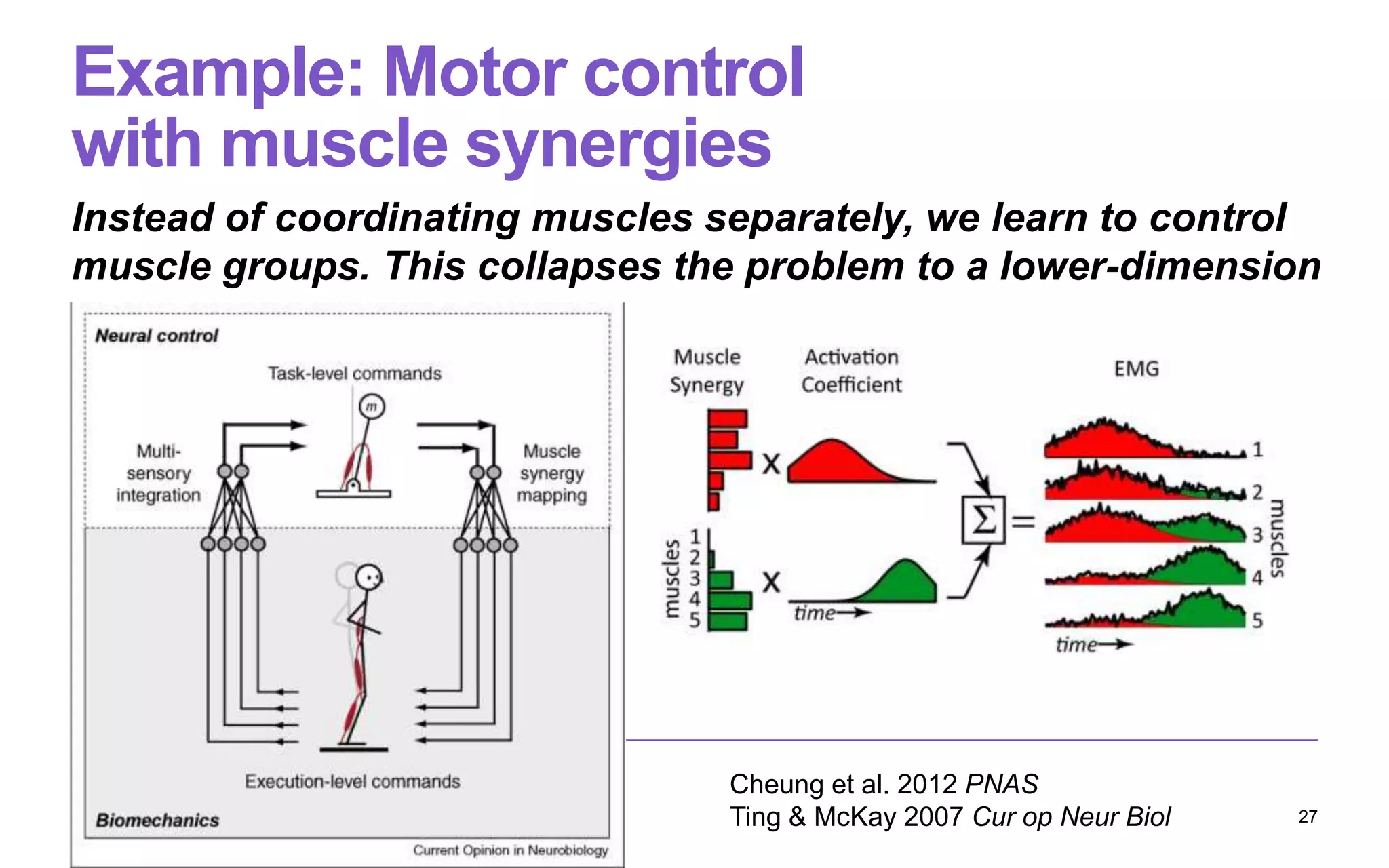 Example: Motor control
with muscle synergies
Instead of coordinating muscles separately, we learn to control
muscle groups. This collapses the problem to a lower-dimension
27
Cheung et al. 2012 PNAS
Ting & McKay 2007 Cur op Neur Biol
 