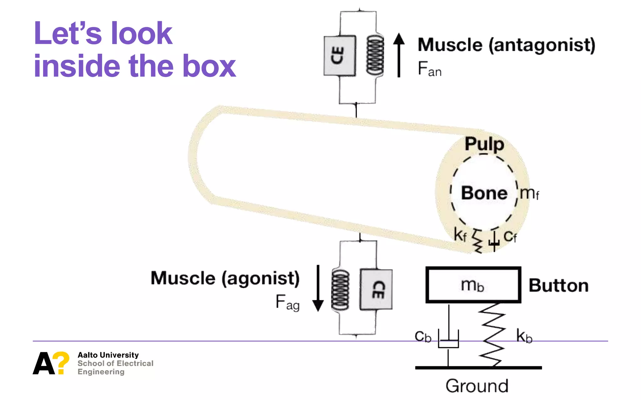 Let’s look
inside the box
BO). Variables
tual objective
d is a random
process (GP)
aps q and pce
umed to have
bution of the
GPmodel, ob-
and a point is
quisition func-
mand from the
onvergence to
loration slows
g the globally
ous system is
 