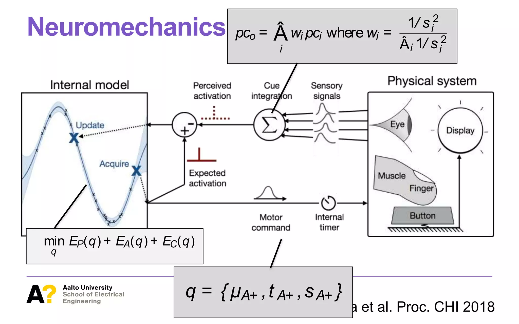 Oulasvirta et al. Proc. CHI 2018
Neuromechanics modeling
Figure4. NEUROM ECHANI C isa computational model of neuromechanicsin button-pressing. It implementsaprobabilistic internal model (Gaussian
process regression) that attempts to minimize error between its expected and perceived button activation. Its motor commands are transferred via a
noisy and delayed neural channel to muscles controlling the ﬁnger. A physical simulation of theﬁnger acting on thebutton yields four types of sensory
signals that areintegrated into a singlepercept (p-center) by meansof a maximum likelihood estimator.
NEUROMECHANIC: A COMPUTATIONAL MODEL
NEUROMECHANIC implements these ideascomputationally. It
consists of two connected sub-models (Figure 4).
Objective Function
A motor command q sent to the ﬁnger muscles consists of
three parameters:
of p-Centers
nnected to four extero-
oprioception, audition,
oduces ap-center pci.
aneural signal evoked
ceptors. We are espe-
tors on the ﬁnger pad
abutton press. Slowly
to coarse spatial struc-
surfaceof thebutton),
ond to motion. Kim
als from the ﬁngertip
d jerk from the ﬁnger
and indentation have
correlates highly with
use buttons havelittle
odel to mechanorecep-
ime-varying signal is
sitivecomponents. In
for estimating pco isaweighted average [16, 17]:
pco = Â
i
wi pci where wi =
1/ s 2
i
Âi 1/ s 2
i
(7)
with wi being theweight given to theith single-cue estimate
and s 2
i being that estimate’s variance. Figure 6 shows ex-
emplary p-center calculations: signal-speciﬁc (pci) and inte-
grated p-centers (pco) from 100 simulated runs of NEUROME
CHANIC pressing a tactile button. Note that absolute differ-
ences among pci do not affect pco, only signal variances do
The integrated timing estimate isrobust to long delays in, say
auditory or visual feedback. This assumption is based on a
study showingthat physiological eventsthat takeplacequickly
within a few hundred milliseconds, do not tend to be cause
over- nor underestimations of event durations [14].
IMPLEMENTATION AND PARAMETER SELECTION
NEUROMECHANIC is implemented in MATLAB, using
BAYESOPT for Bayesian optimization (GP model uses the
ARD Matern 5/2 kernel), SIMSCAPE for mechanics, and
nicsin button-pressing. It implementsaprobabilistic internal model (Gaussian
d and perceived button activation. Its motor commands are transferred via a
ysical simulation of theﬁnger acting on thebutton yields four typesof sensory
maximum likelihood estimator.
Objective Function
A motor command q sent to the ﬁnger muscles consists of
threeparameters:
q = { µA+ ,t A+ ,sA+ } (1)
pressing. It implementsaprobabilistic internal model (Gaussian
d button activation. Its motor commands are transferred via a
on of theﬁnger acting on thebutton yieldsfour typesof sensory
ihood estimator.
ve Function
or command q sent to the ﬁnger muscles consists of
arameters:
q = { µA+ ,tA+ ,sA+ } (1)
gnal offset µ, signal amplitudet , and duration s of the
(A+) muscle. Wehaveset physiologically plausible
a(min and max) for theactivation parameters.
ectiveisto determine q that minimizes error:
min
q
EP(q) + EA(q) + EC(q) (2)
EP is error in predicting perception, EA is error in ac-
thebutton, and EC iserror in making contact (button
touched). Weassumethat activation and contact errors
 