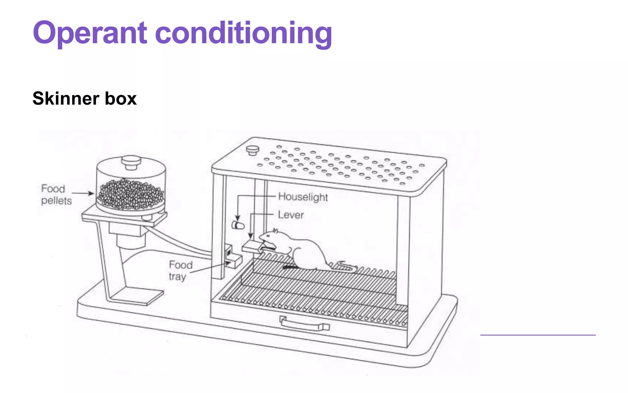 Operant conditioning
Skinner box
 