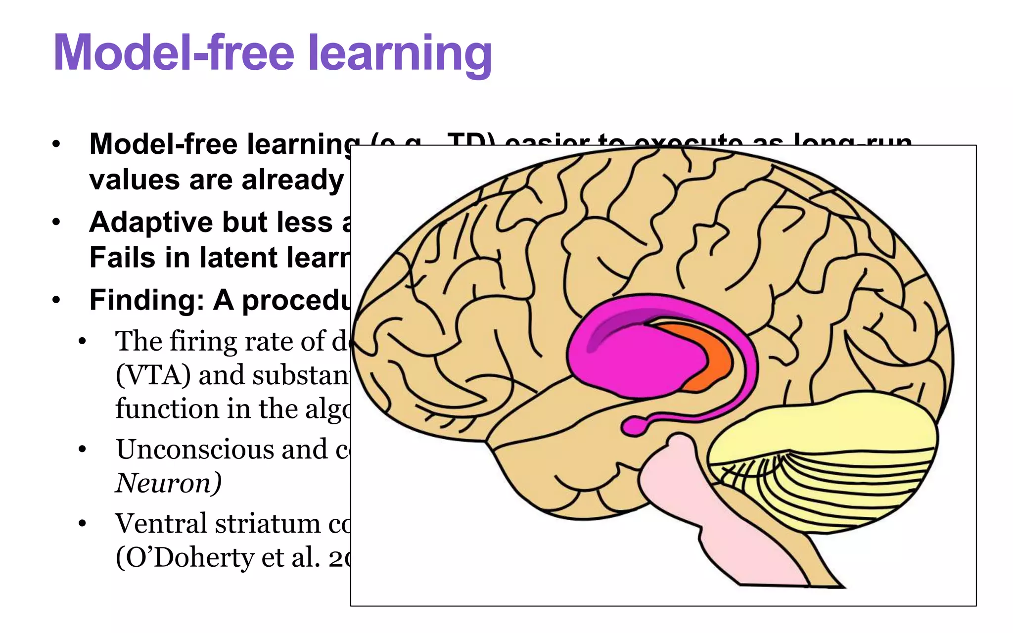 Model-free learning
• Model-free learning (e.g., TD) easier to execute as long-run
values are already computed and only need to be compared.
• Adaptive but less appropriate for changing environments.
Fails in latent learning, with distal changes in rewards
• Finding: A procedural learning system in striatum
• The firing rate of dopamine neurons in the ventral tegmental area
(VTA) and substantia nigra (SNc) appear to mimic the error
function in the algorithm. (Schultz et al. 1997 Science)
• Unconscious and cognitively impenetrable (Pessiglione et al. 2008
Neuron)
• Ventral striatum corresponds to “critic” and dorsal to “actor”
(O’Doherty et al. 2004 Science)
 