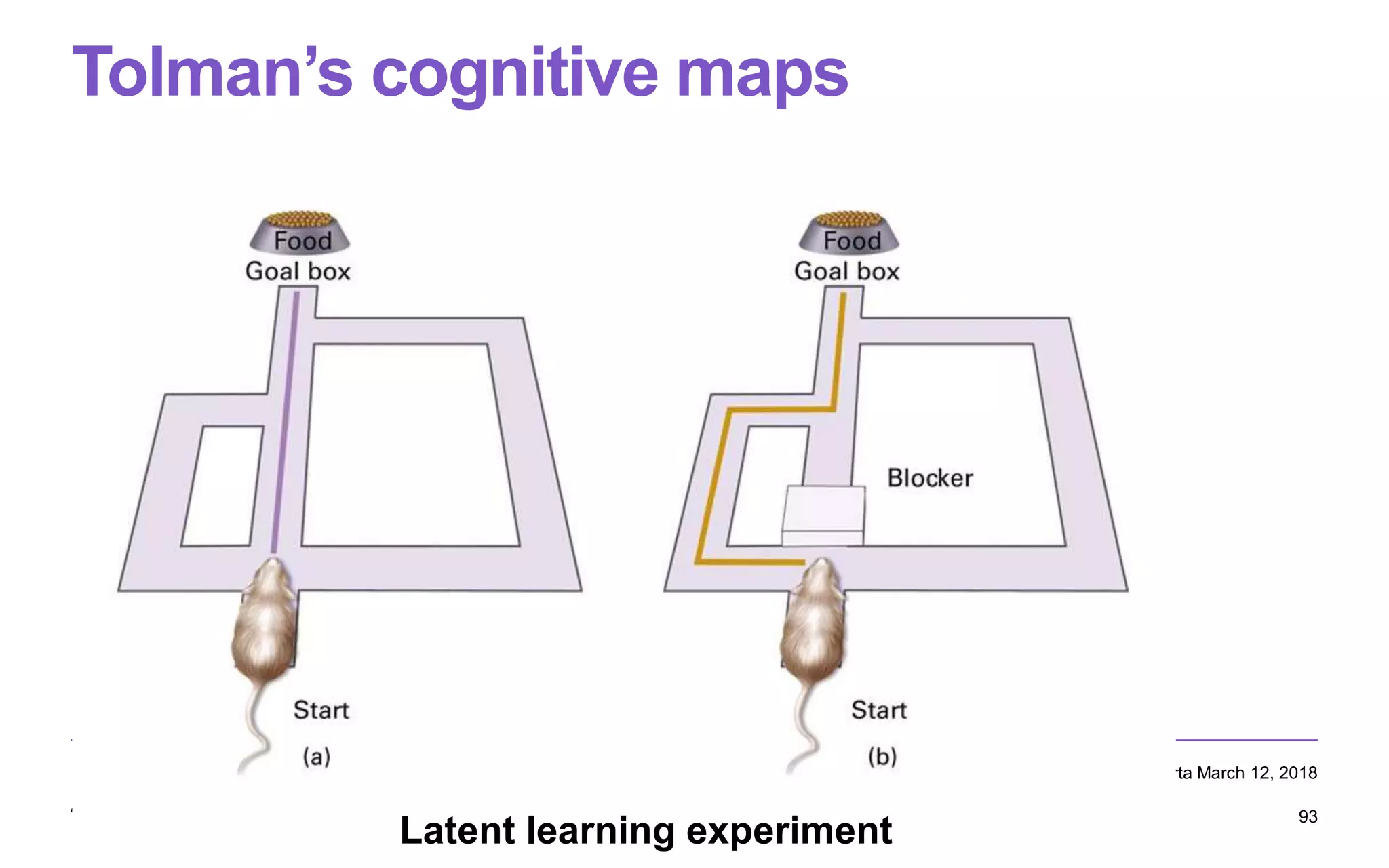 Tolman’s cognitive maps
Computational Rationality I – Antti Oulasvirta March 12, 2018
93
Latent learning experiment
 