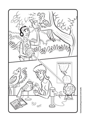 MIGRATION PATTERNS
PARROT
Communicatingprocessesandresults
 