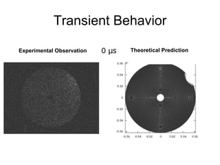 Transient Behavior Experimental Observation Theoretical Prediction 
