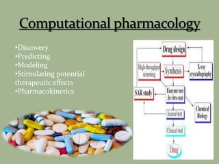 •Discovery
•Predicting
•Modeling
•Stimulating potential
therapeutic effects
•Pharmacokinetics
 