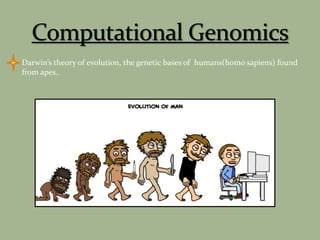 Darwin’s theory of evolution, the genetic bases of humans(homo sapiens) found
from apes..
 
