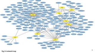 42
Fig.1 A network map
 