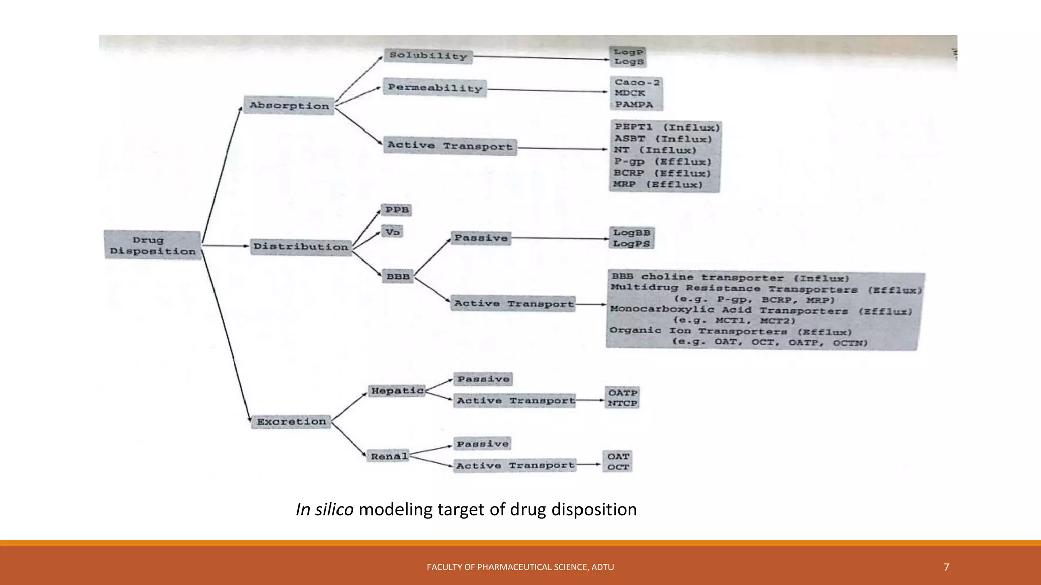 FACULTY OF PHARMACEUTICAL SCIENCE, ADTU 7
In silico modeling target of drug disposition
 
