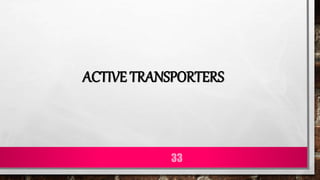 ACTIVE TRANSPORTERS
33
 
