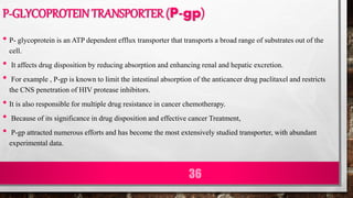 P-GLYCOPROTEIN TRANSPORTER (P-gp)
• P- glycoprotein is an ATP dependent efflux transporter that transports a broad range of substrates out of the
cell.
• It affects drug disposition by reducing absorption and enhancing renal and hepatic excretion.
• For example , P-gp is known to limit the intestinal absorption of the anticancer drug paclitaxel and restricts
the CNS penetration of HIV protease inhibitors.
• It is also responsible for multiple drug resistance in cancer chemotherapy.
• Because of its significance in drug disposition and effective cancer Treatment,
• P-gp attracted numerous efforts and has become the most extensively studied transporter, with abundant
experimental data.
36
 