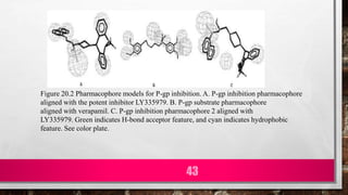 Figure 20.2 Pharmacophore models for P-gp inhibition. A. P-gp inhibition pharmacophore
aligned with the potent inhibitor LY335979. B. P-gp substrate pharmacophore
aligned with verapamil. C. P-gp inhibition pharmacophore 2 aligned with
LY335979. Green indicates H-bond acceptor feature, and cyan indicates hydrophobic
feature. See color plate.
43
 