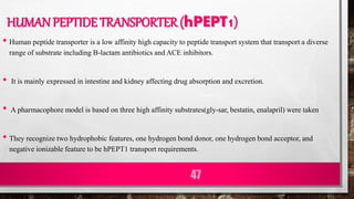 • Human peptide transporter is a low affinity high capacity to peptide transport system that transport a diverse
range of substrate including B-lactam antibiotics and ACE inhibitors.
• It is mainly expressed in intestine and kidney affecting drug absorption and excretion.
• A pharmacophore model is based on three high affinity substrates(gly-sar, bestatin, enalapril) were taken
• They recognize two hydrophobic features, one hydrogen bond donor, one hydrogen bond acceptor, and
negative ionizable feature to be hPEPT1 transport requirements.
47
HUMAN PEPTIDE TRANSPORTER (hPEPT1)
 