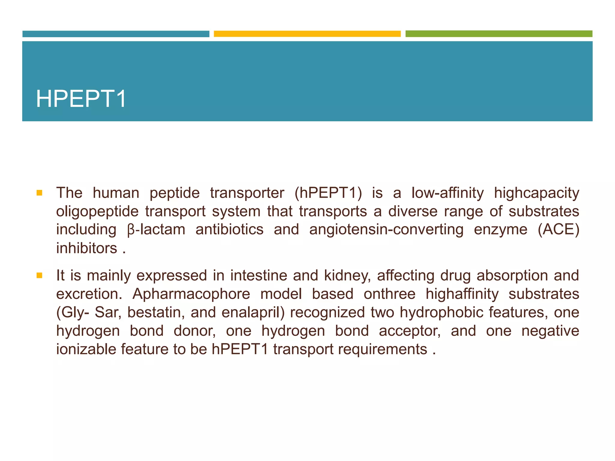 HPEPT1
 The human peptide transporter (hPEPT1) is a low-affinity highcapacity
oligopeptide transport system that transports a diverse range of substrates
including β-lactam antibiotics and angiotensin-converting enzyme (ACE)
inhibitors .
 It is mainly expressed in intestine and kidney, affecting drug absorption and
excretion. Apharmacophore model based onthree highaffinity substrates
(Gly- Sar, bestatin, and enalapril) recognized two hydrophobic features, one
hydrogen bond donor, one hydrogen bond acceptor, and one negative
ionizable feature to be hPEPT1 transport requirements .
 